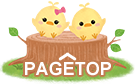 PAGETOP